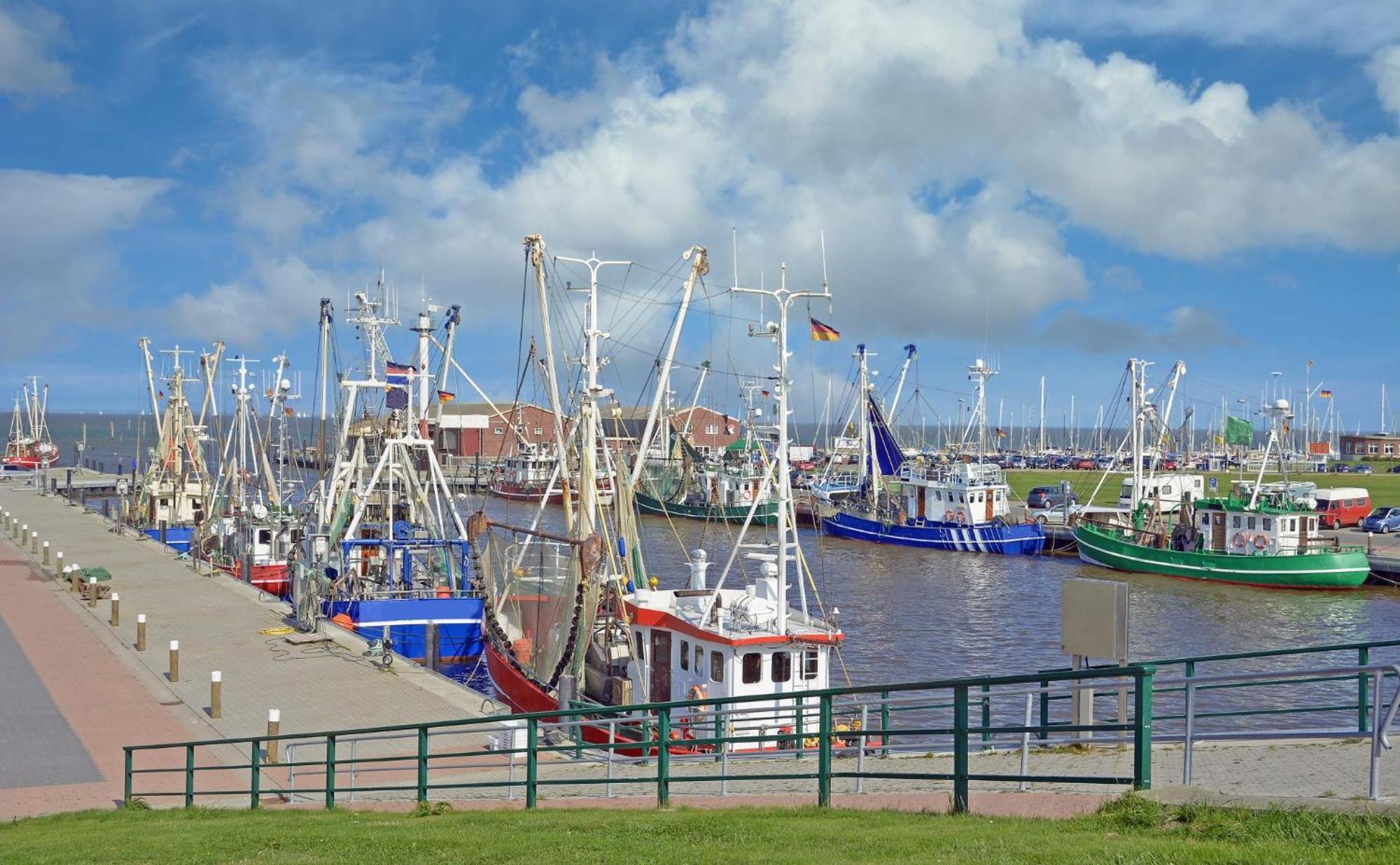 Ferienhaus Hornhecht Dornumersiel Esterno foto